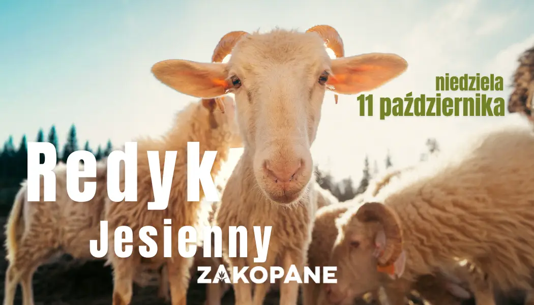 Redyk Jesienny 2026 w Zakopanem